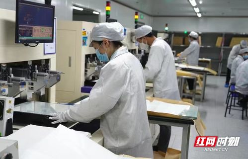 電子工匠展風采，勞務品牌促發展——冷水灘區以專業勞務品牌助力就業與產業雙贏